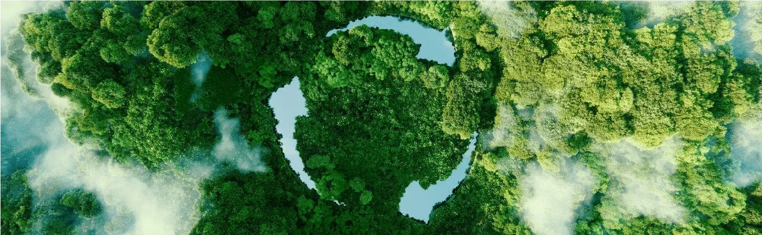 Eco-Friendly Branding Marketing